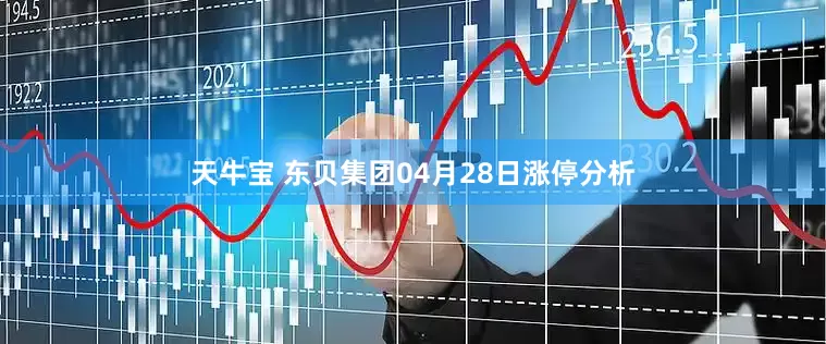 天牛宝 东贝集团04月28日涨停分析