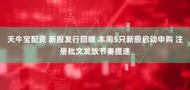 天牛宝配资 新股发行回暖 本周5只新股启动申购 注册批文发放节奏提速