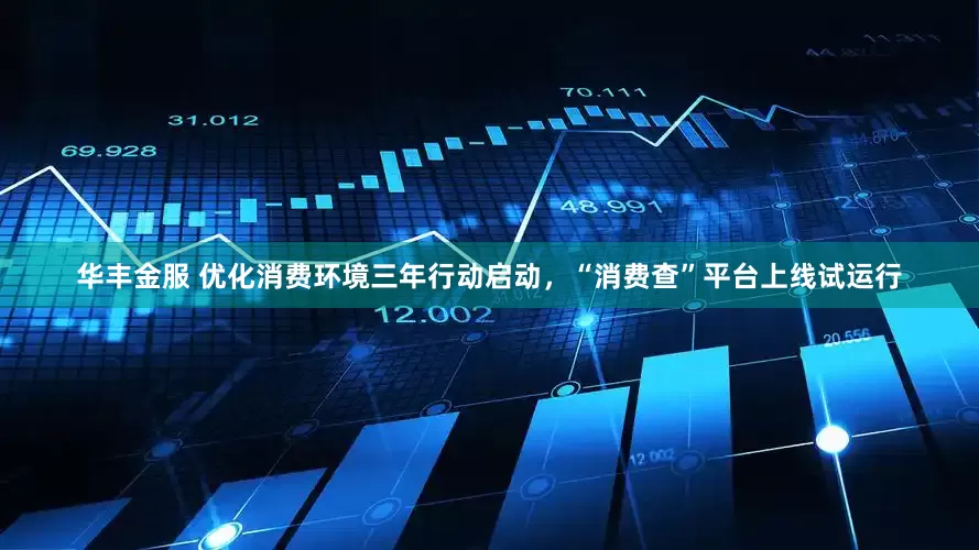 华丰金服 优化消费环境三年行动启动，“消费查”平台上线试运行