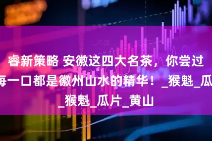 睿新策略 安徽这四大名茶，你尝过几种？每一口都是徽州山水的精华！_猴魁_瓜片_黄山
