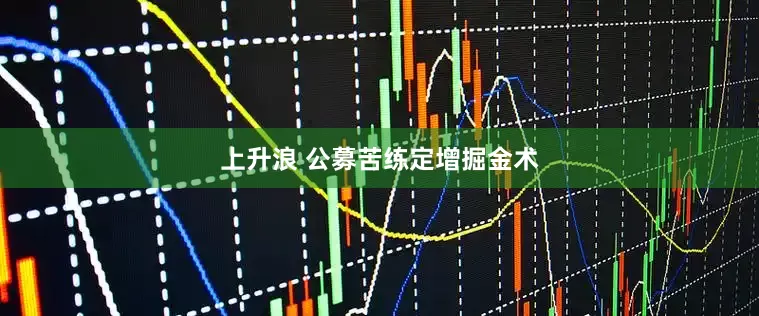 上升浪 公募苦练定增掘金术