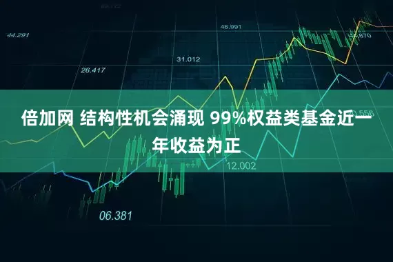 倍加网 结构性机会涌现 99%权益类基金近一年收益为正