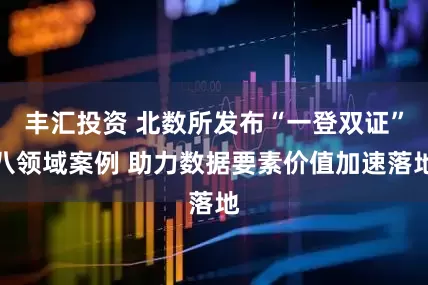 丰汇投资 北数所发布“一登双证”八领域案例 助力数据要素价值加速落地